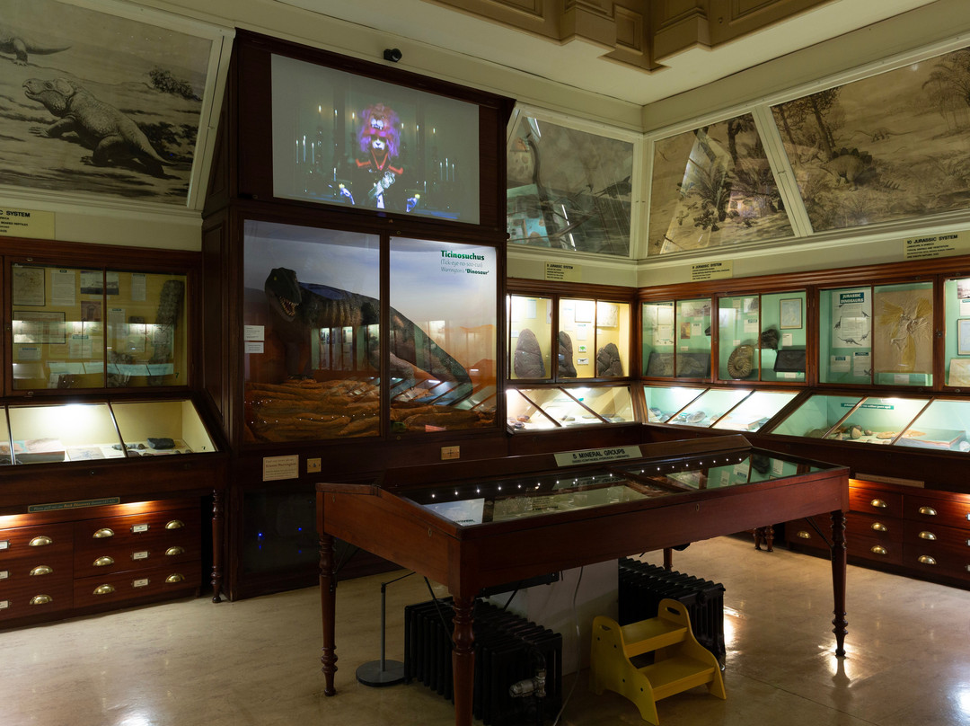 Warrington Museum & Art Gallery-沃灵顿必去景点