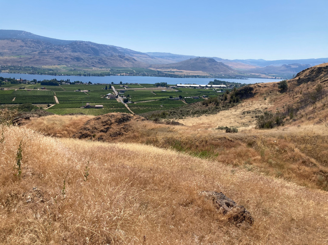 Sun Hills Riding Centre-奥索尤斯必去景点