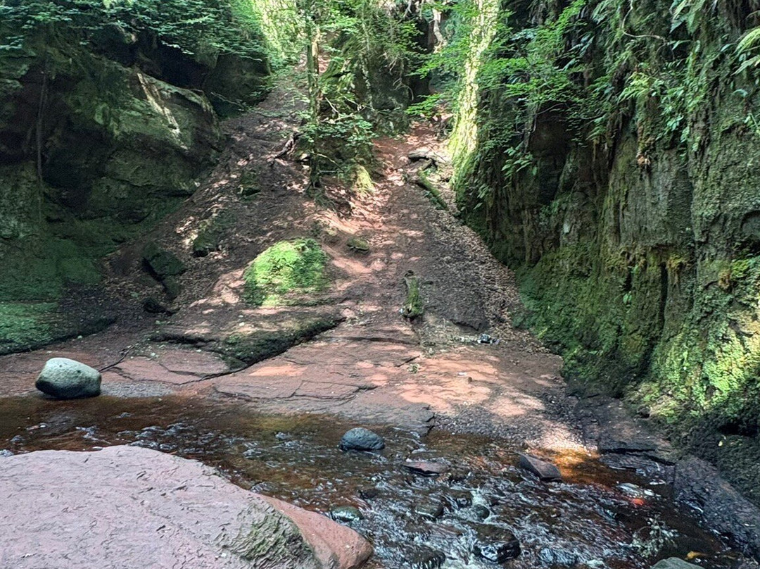 Finnich Glen-格拉斯哥必去景点