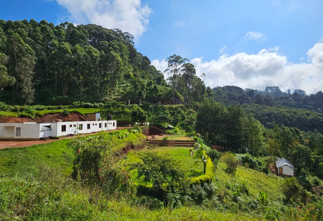 Lushoto Apiculture Museum-卢绍托必去景点
