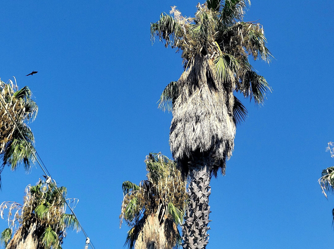 Seven Maze Charming House主图