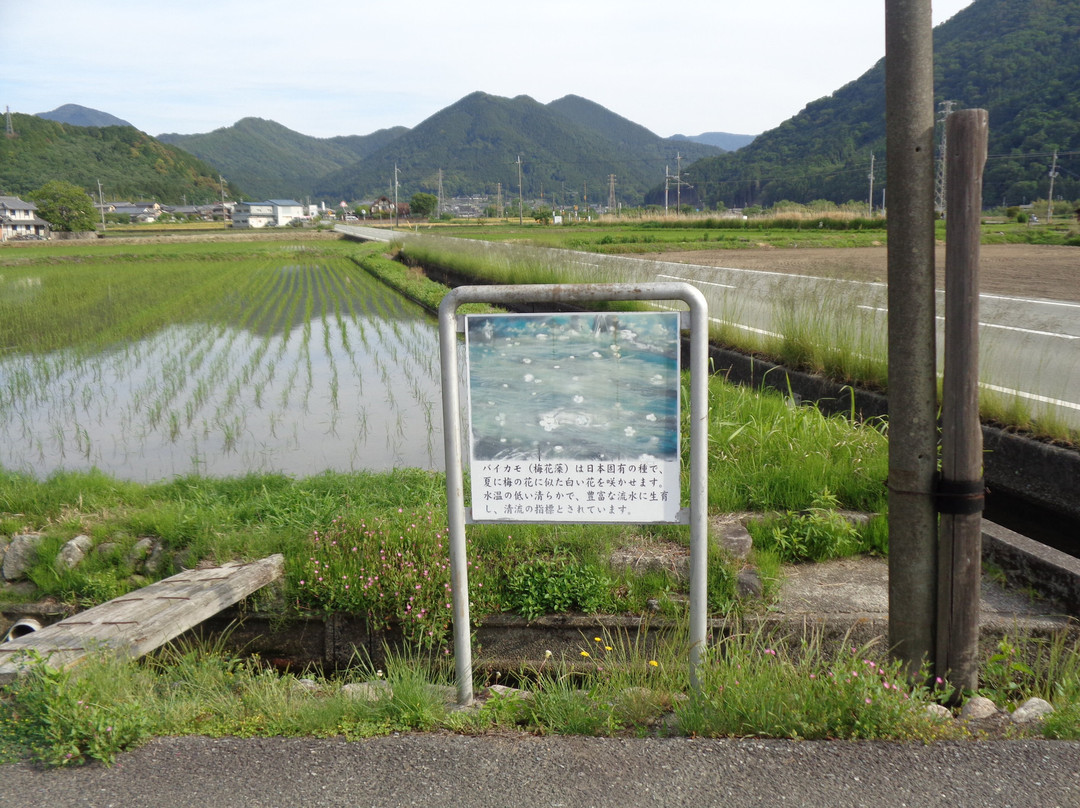 Baikamo Information Sign