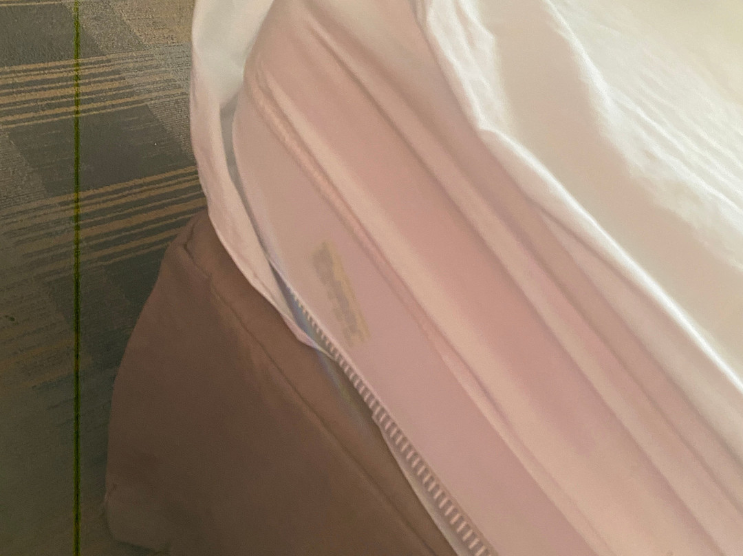 Hampton Inn & Suites California主图