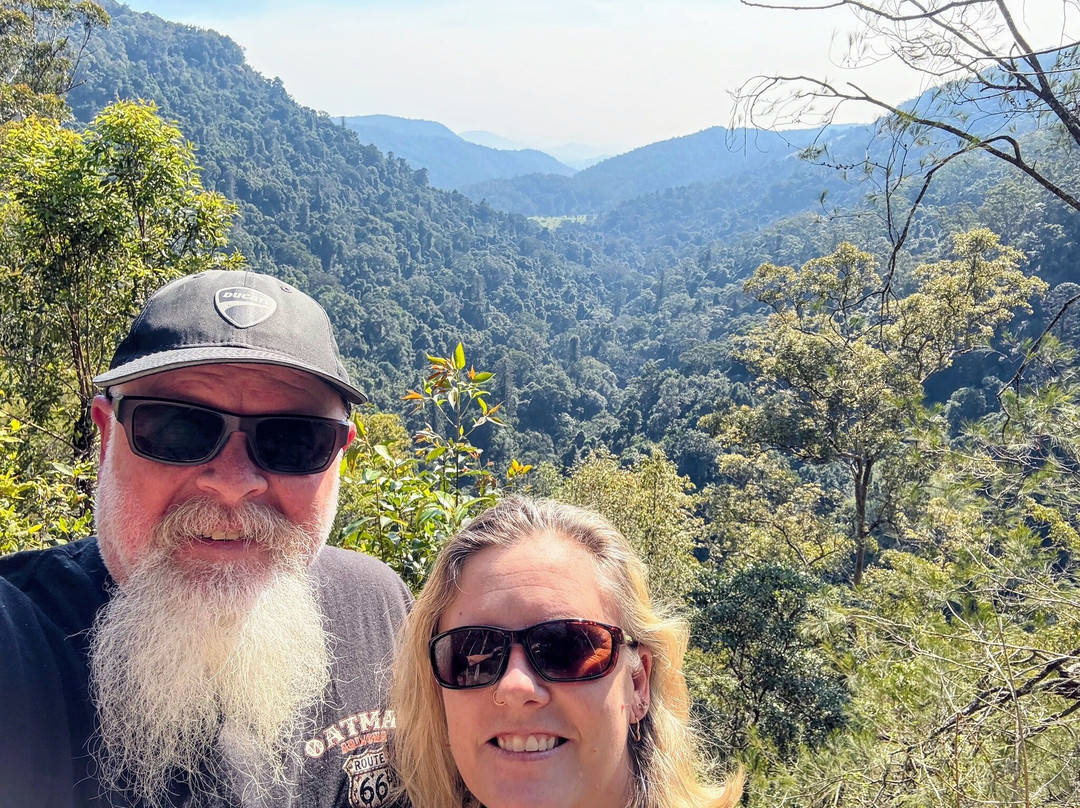 Kondalilla Falls-蒙特维尔必去景点