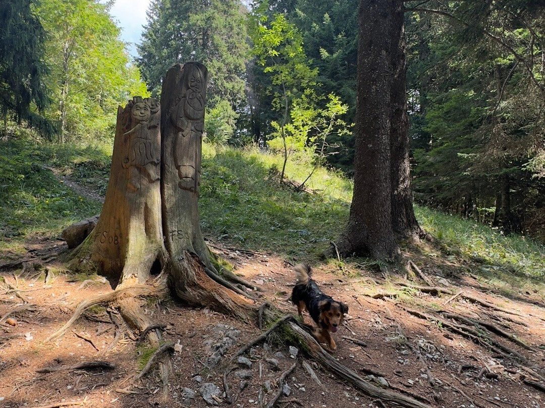 Sentiero Cimbro dell’Immaginario-Luserna必去景点