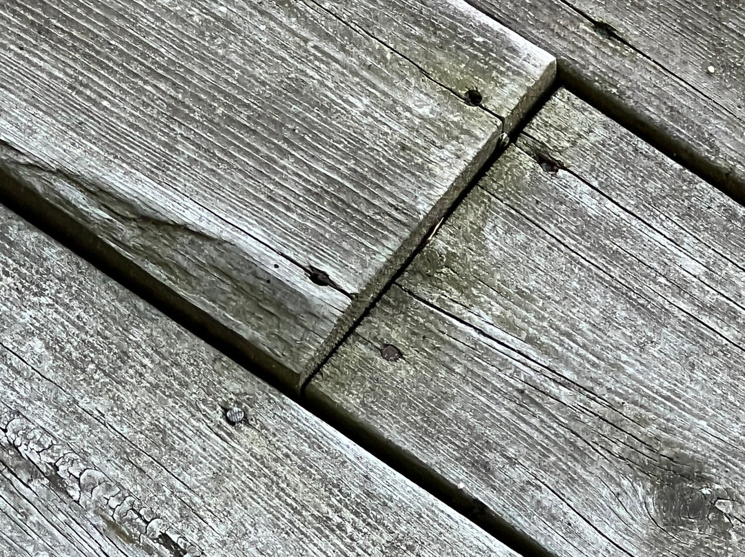 Algoma Beach Motel主图