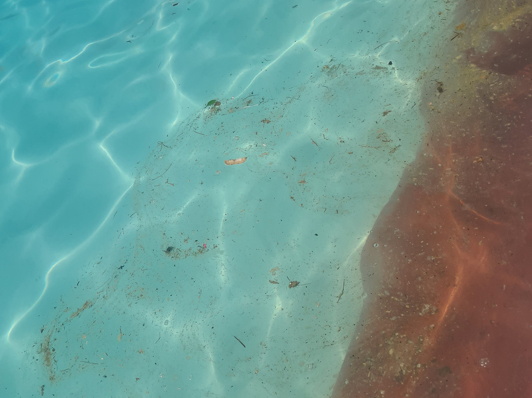 Praia das Rocas-Castanheira de Pera必去景点