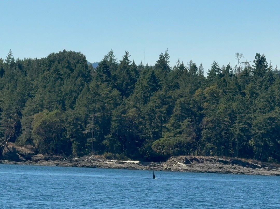 San Juan Outfitters-星期五港湾必去景点