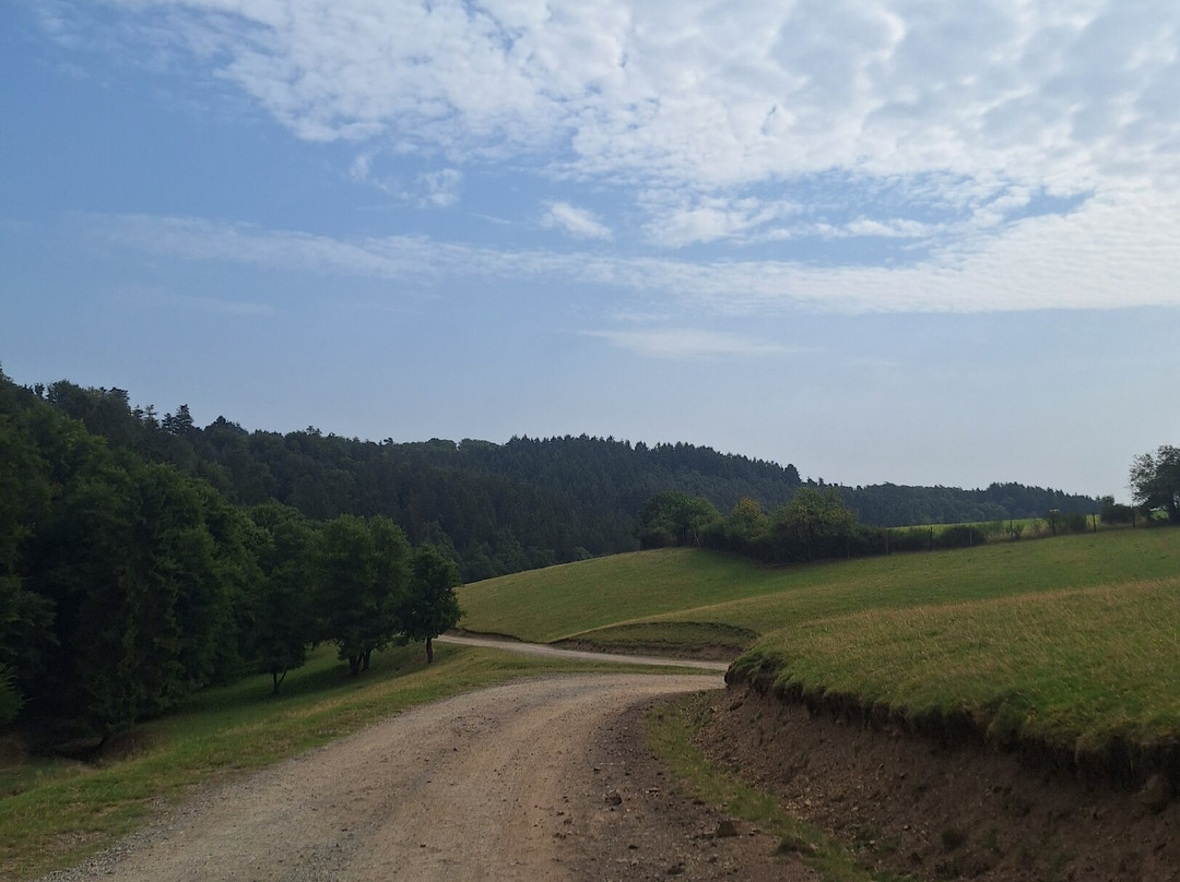 Wild- & Erlebnispark Daun-Daun必去景点