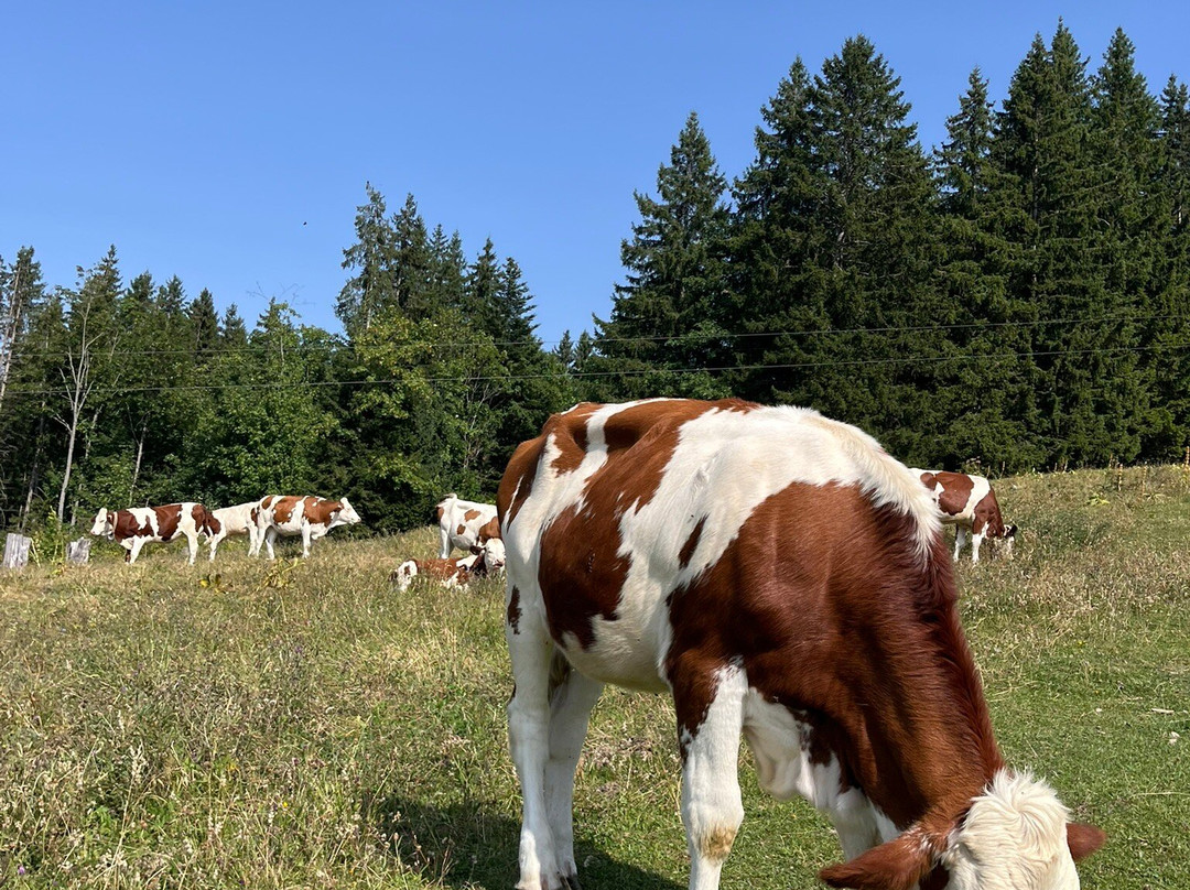 Lac Bénit-Mont Saxonnex必去景点