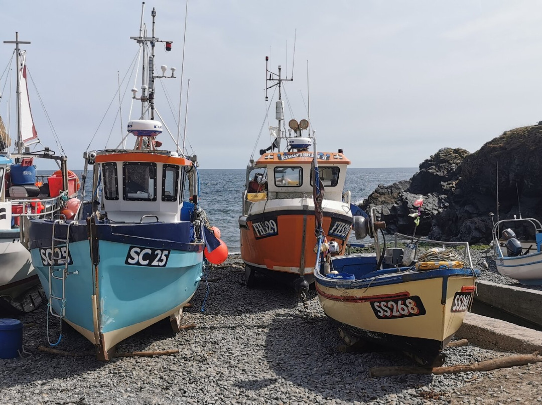 Cadgwith Cove