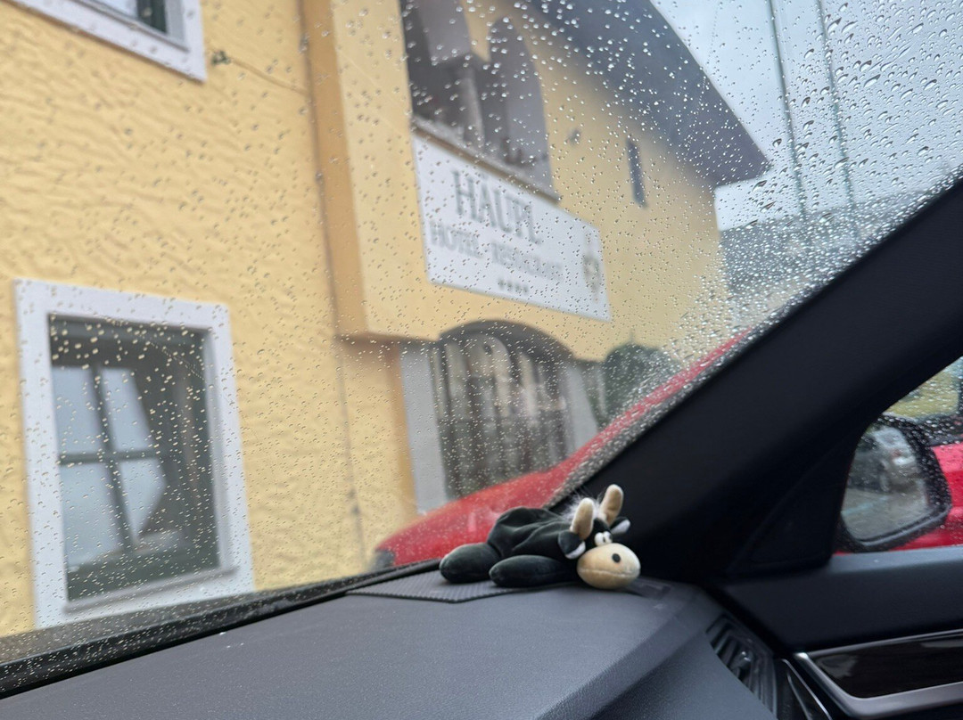 Hotel-Restaurant Haupl主图