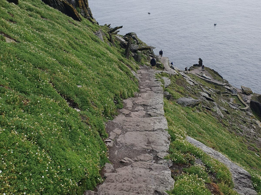 Skellig Falcon-Ballinskelligs必去景点