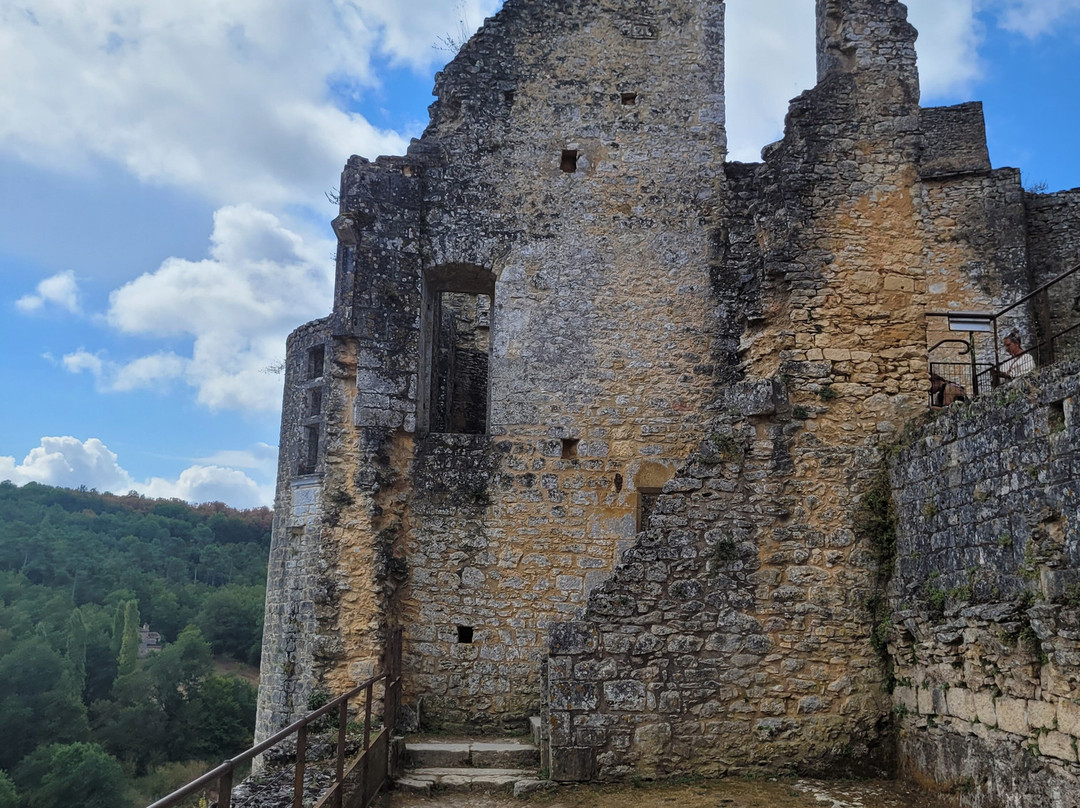 Château de Bonaguil-Saint-Front-sur-Lemance必去景点