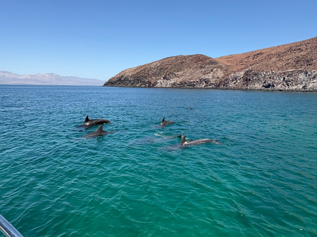 Ana Isabel Sport Fishing And Tours