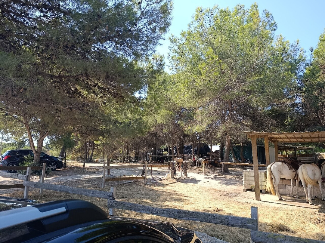 Promenade A Cheval Des Aresquiers-Vic-la-Gardiole必去景点