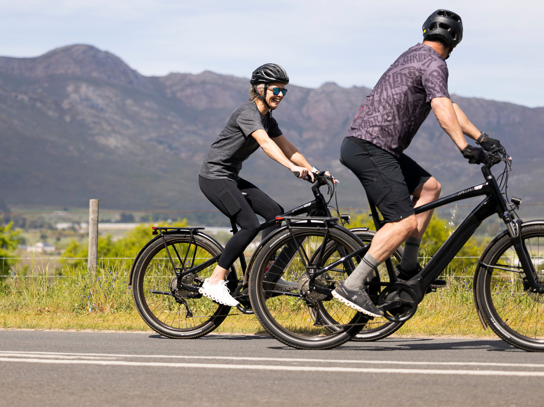 Paarl Trails - Laborie Estate-帕尔必去景点