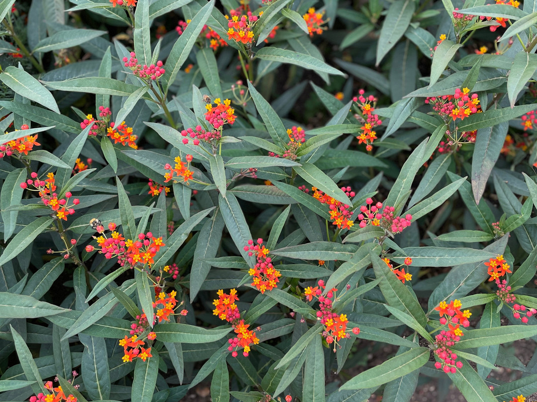 Aston Pottery-Aston必去景点