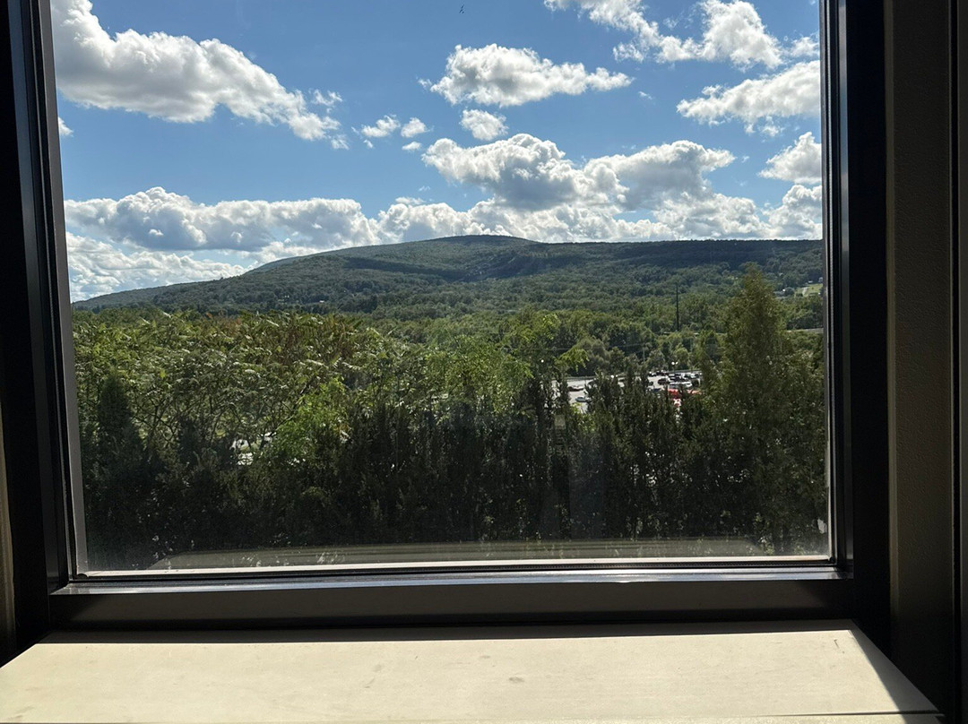 贝德福德希尔顿恒庭酒店主图