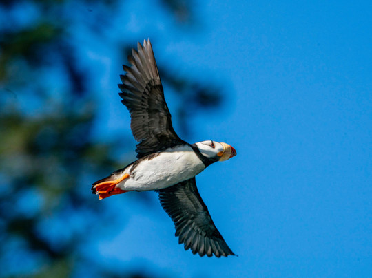 Sound Water Tours-苏厄德必去景点