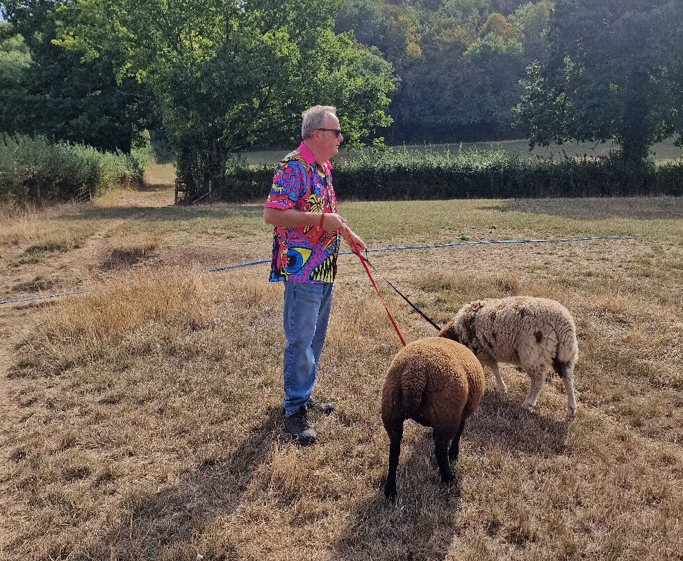 Somerset Sheep Trekking-Pitminster必去景点