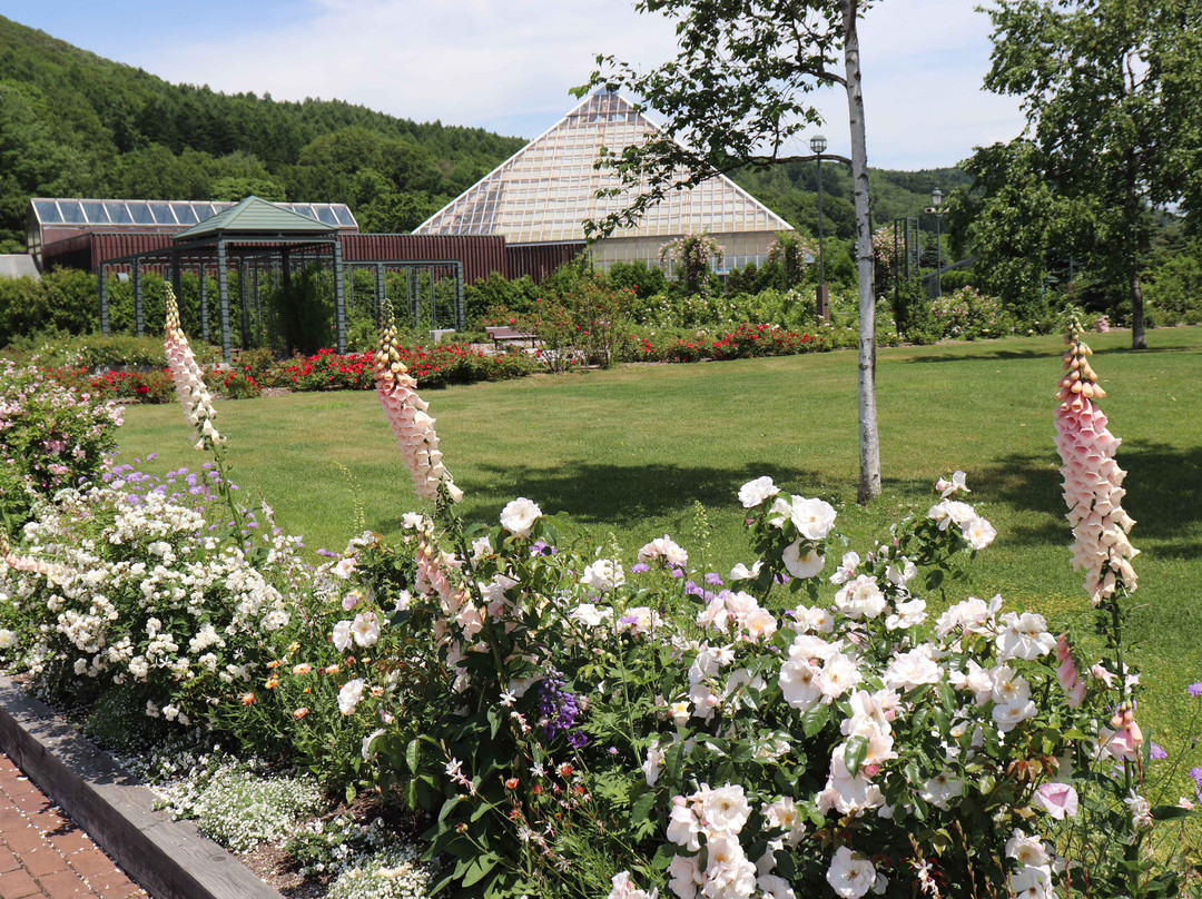 Iwamizawa Park-岩见泽市必去景点