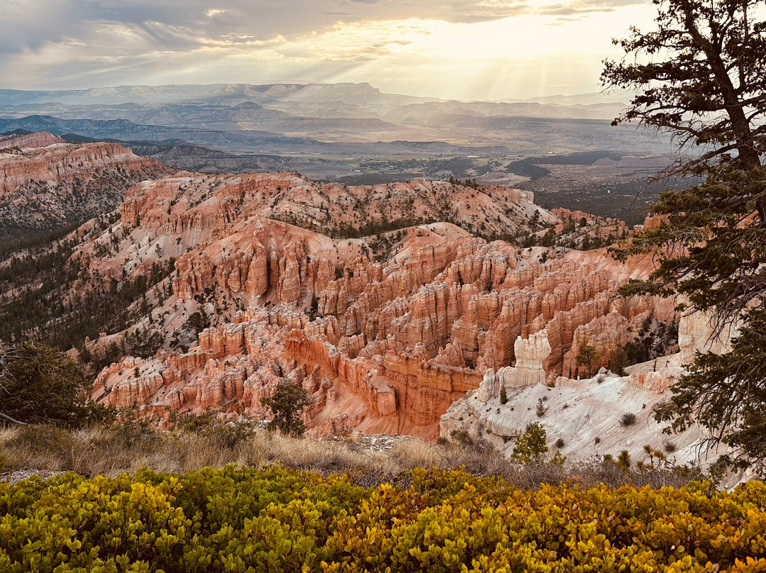 Bryce Amphitheatre-布莱斯峡谷国家公园必去景点