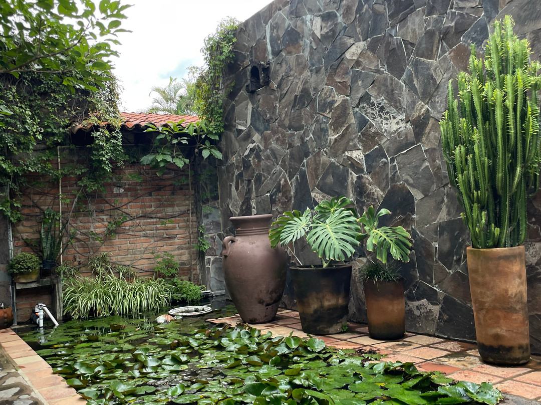 Las Jaras Aguas Termales主图