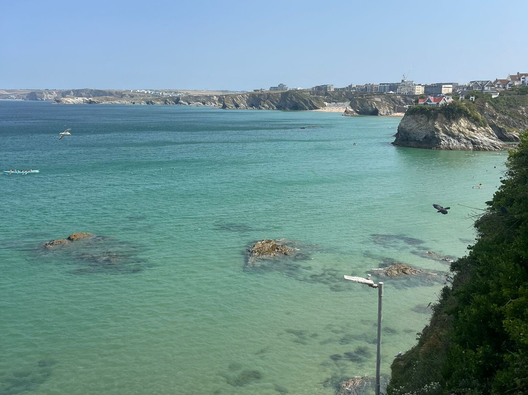 Newquay Harbour-纽奎必去景点
