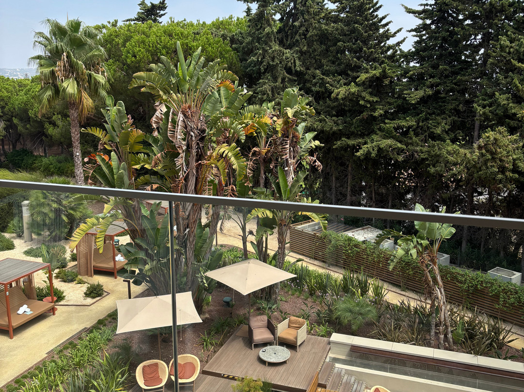 Falésia Hotel - Adults Only主图
