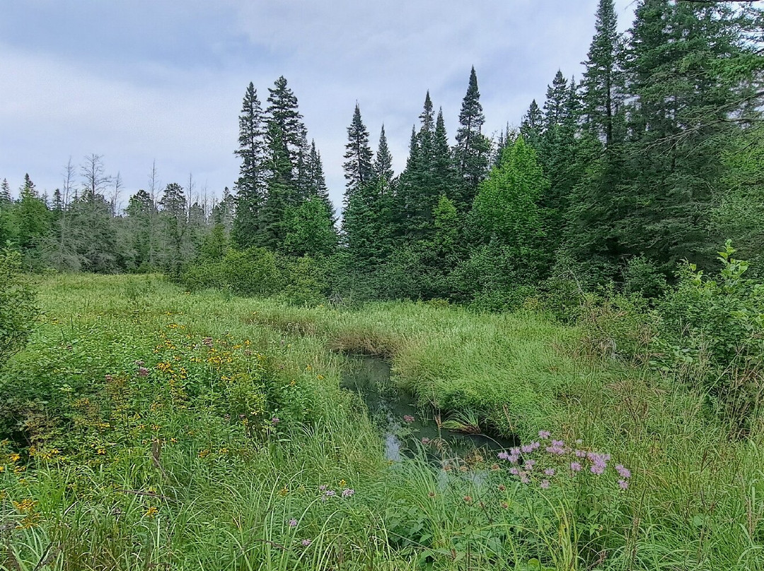 Wilderness Drive-Lake Itasca必去景点