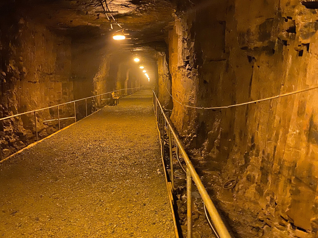 # 2 Mine Tour and Museum-Bell Island必去景点