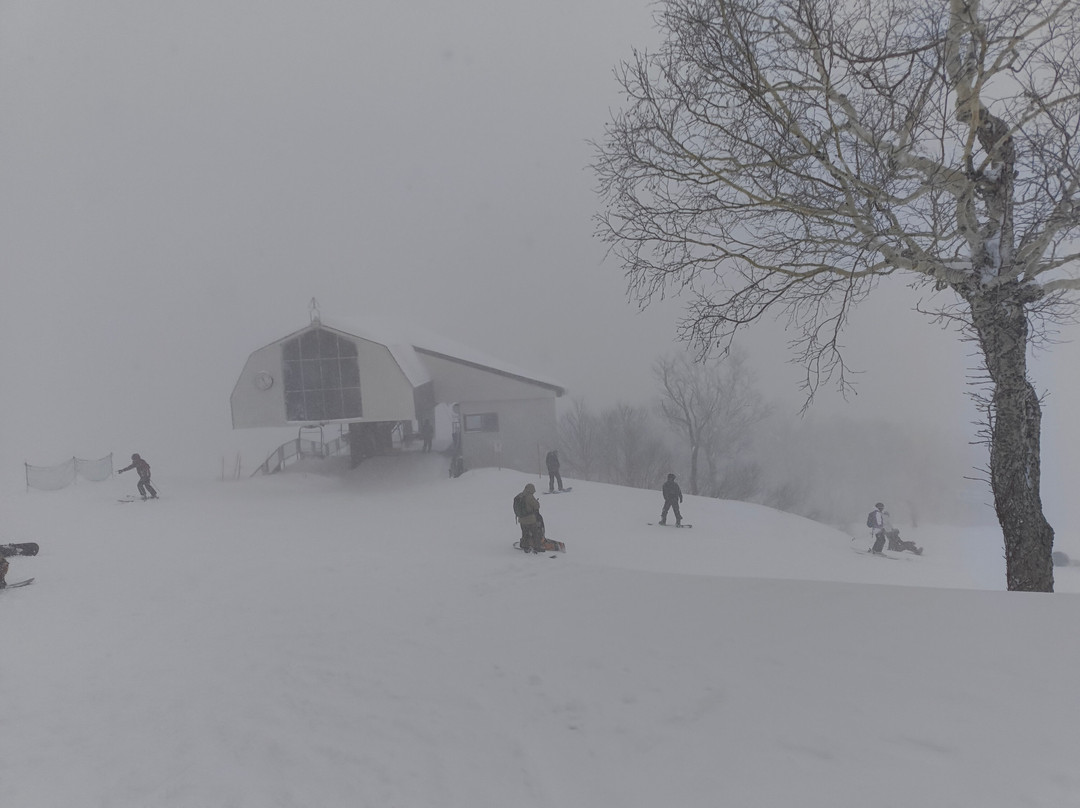 手稻山滑雪场-札幌市必去景点