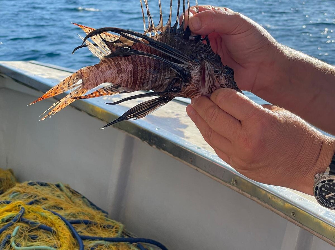 Fishing Tourism Kefalonia Dimitrios-Efthimia-Katelios必去景点