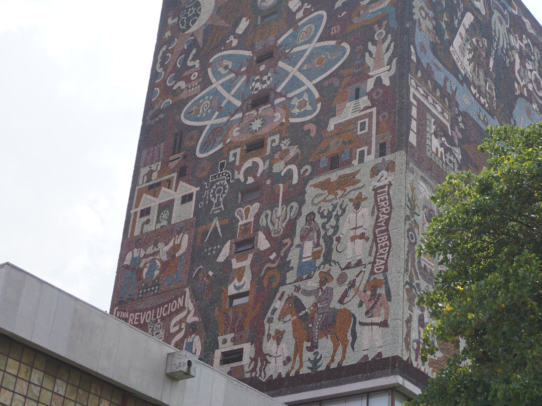 Ciudad Universitaria-墨西哥城必去景点