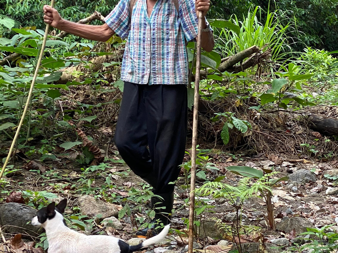 Osa Nature Tours-Dos Brazos必去景点