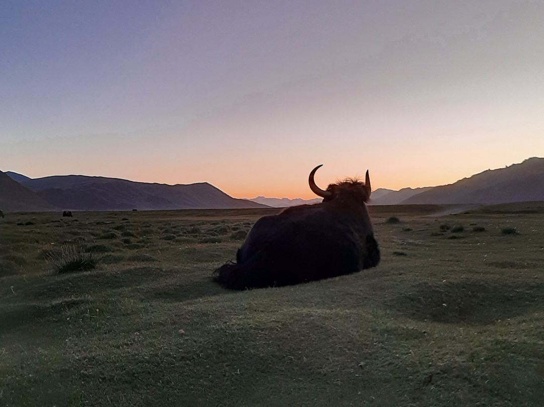 Pamir Guides-Murghab必去景点