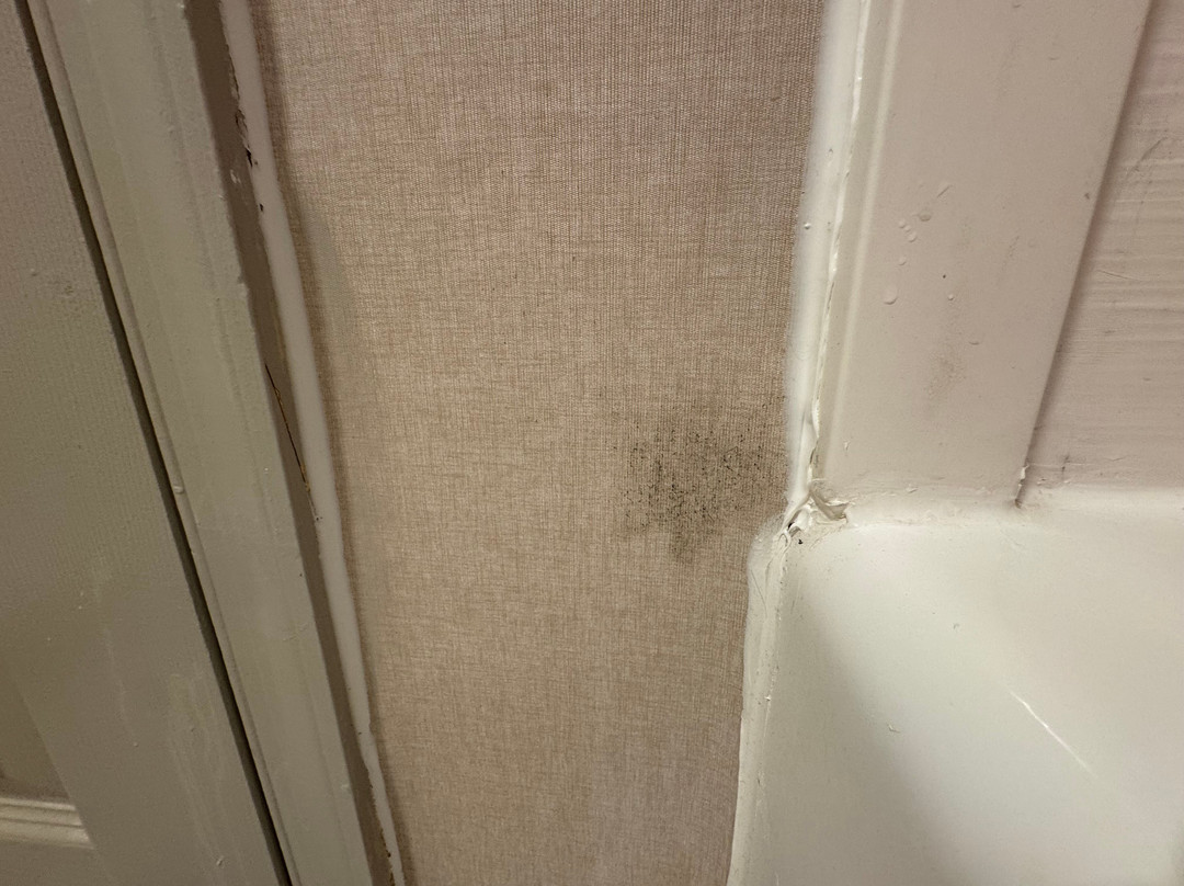 Homewood Suites By Hilton Philadelphia-Great Valley主图