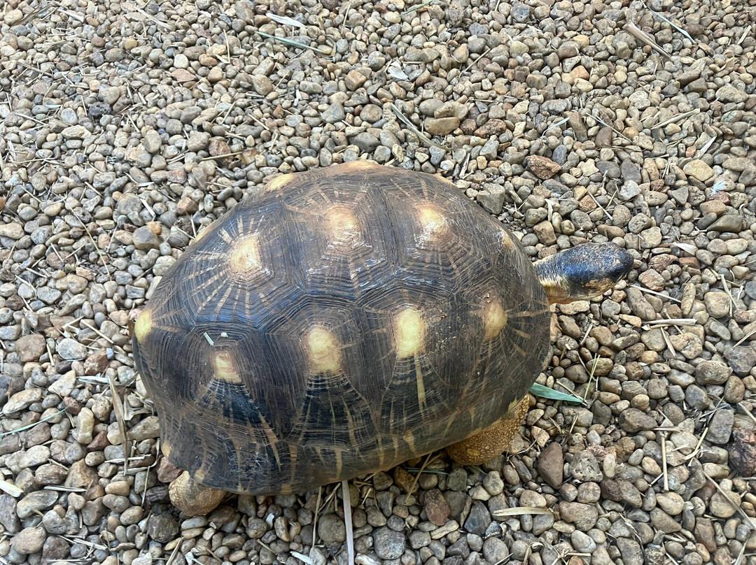 Eco Lodge Les Chambres du Voyageur主图