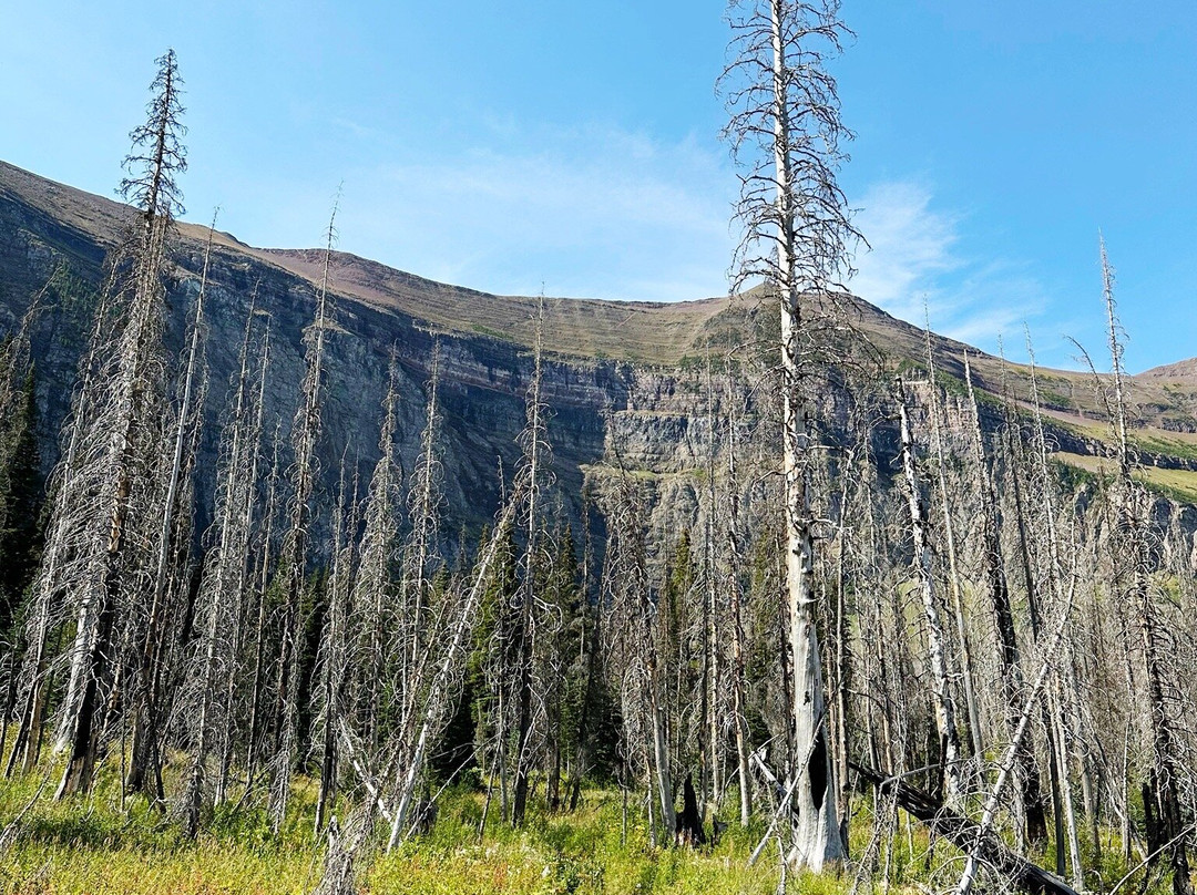 Wall Lake Hike-沃特顿湖国家公园必去景点