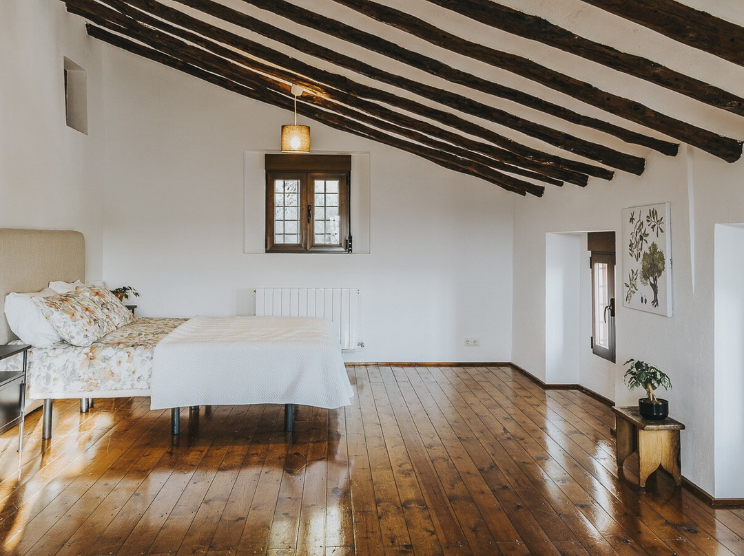 Casa Pedro Barrera主图