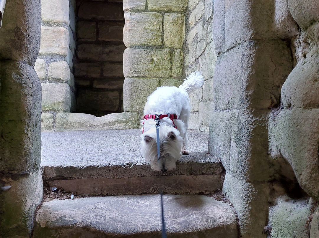 Warkworth Castle-Warkworth必去景点