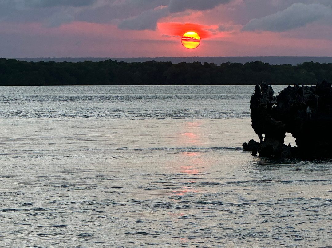 Kenya Safari Con Kassim Luigi-瓦塔木必去景点