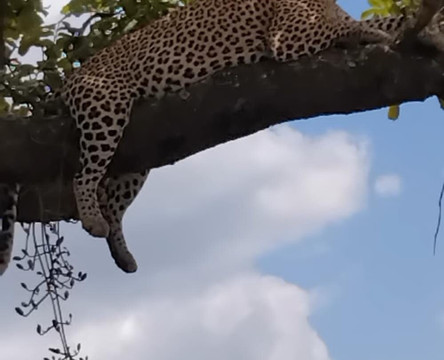 OnTarget Safari-桑给巴尔岛必去景点