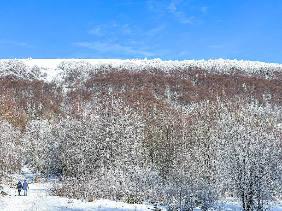 Szlak Żółty Na Połoninę Wetlińską