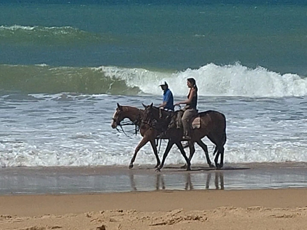Playa Mangueta-Los Canos de Meca必去景点