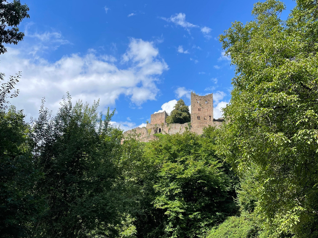 Kurparkhotel Faisst主图