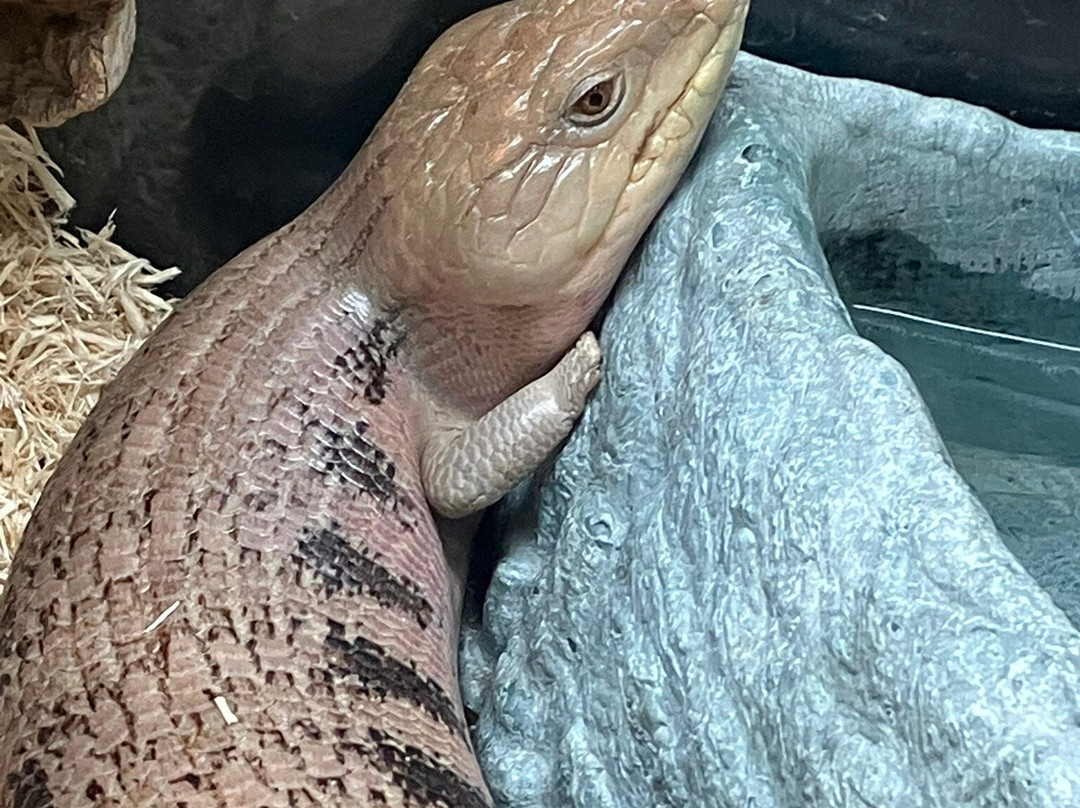 Science Museum of Virginia-里士满必去景点