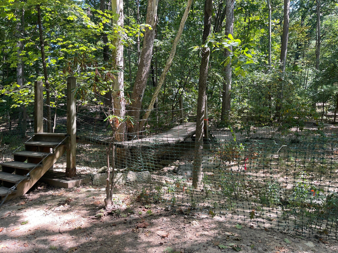 Edith J. Carrier Arboretum-哈里森堡必去景点
