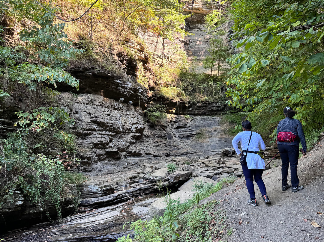 Cathedral Falls-Gauley Bridge必去景点
